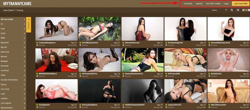 SImple. easy-to-use navigation on MyTrannyCams.com