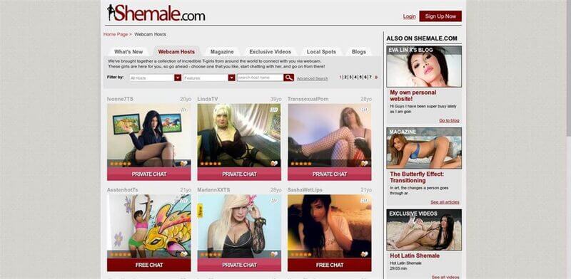 Some of the shemale porn models